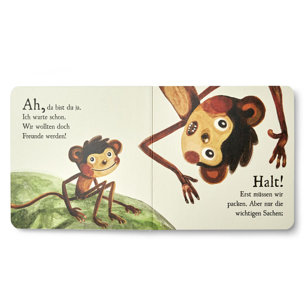 Affenzahn Papp-Bilderbuch Affenzahn Papp-Bilderbuch