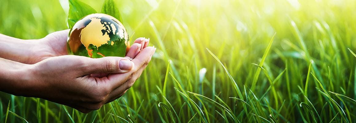 Grün, Gras, Sphäre, Fotografie, Vegetation